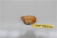 藏品(黃綠澤蟹)的圖片